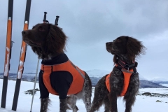 IMG_1489